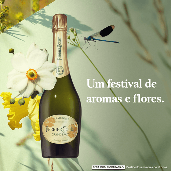 3113880105110_C_BB_DIF_PJ_GrandBrut 3113880105110_C_BB_DIF_PJ_GrandBrut