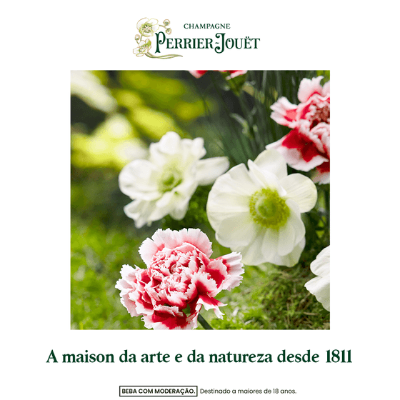 3113880105110_G_BB_ASSINAT_PJ_GrandBrut 3113880105110_G_BB_ASSINAT_PJ_GrandBrut