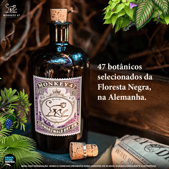 C-BB_DIF-1_Monkey47_A