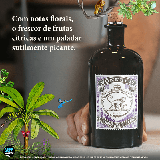 D-BB_DIF-2_Monkey47_2_A